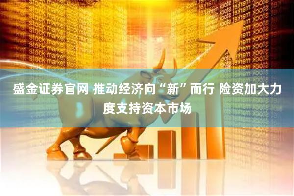 盛金证券官网 推动经济向“新”而行 险资加大力度支持资本市场