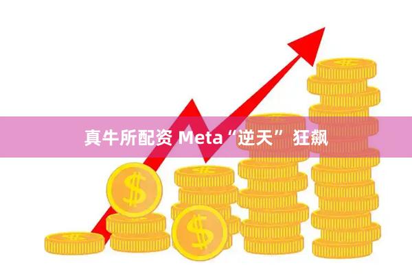 真牛所配资 Meta“逆天” 狂飙