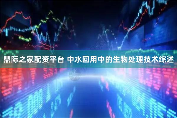 鼎际之家配资平台 中水回用中的生物处理技术综述