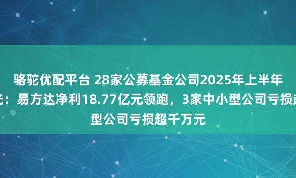 骆驼优配平台 28家公募基金公司2025年上半年业绩曝光：易方达净利18.77亿元领跑，3家中小型公司亏损超千万元